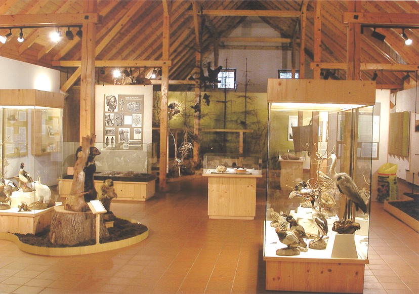 Moor-Express <br> 19. August <br> 10:30 Uhr – Bild 4