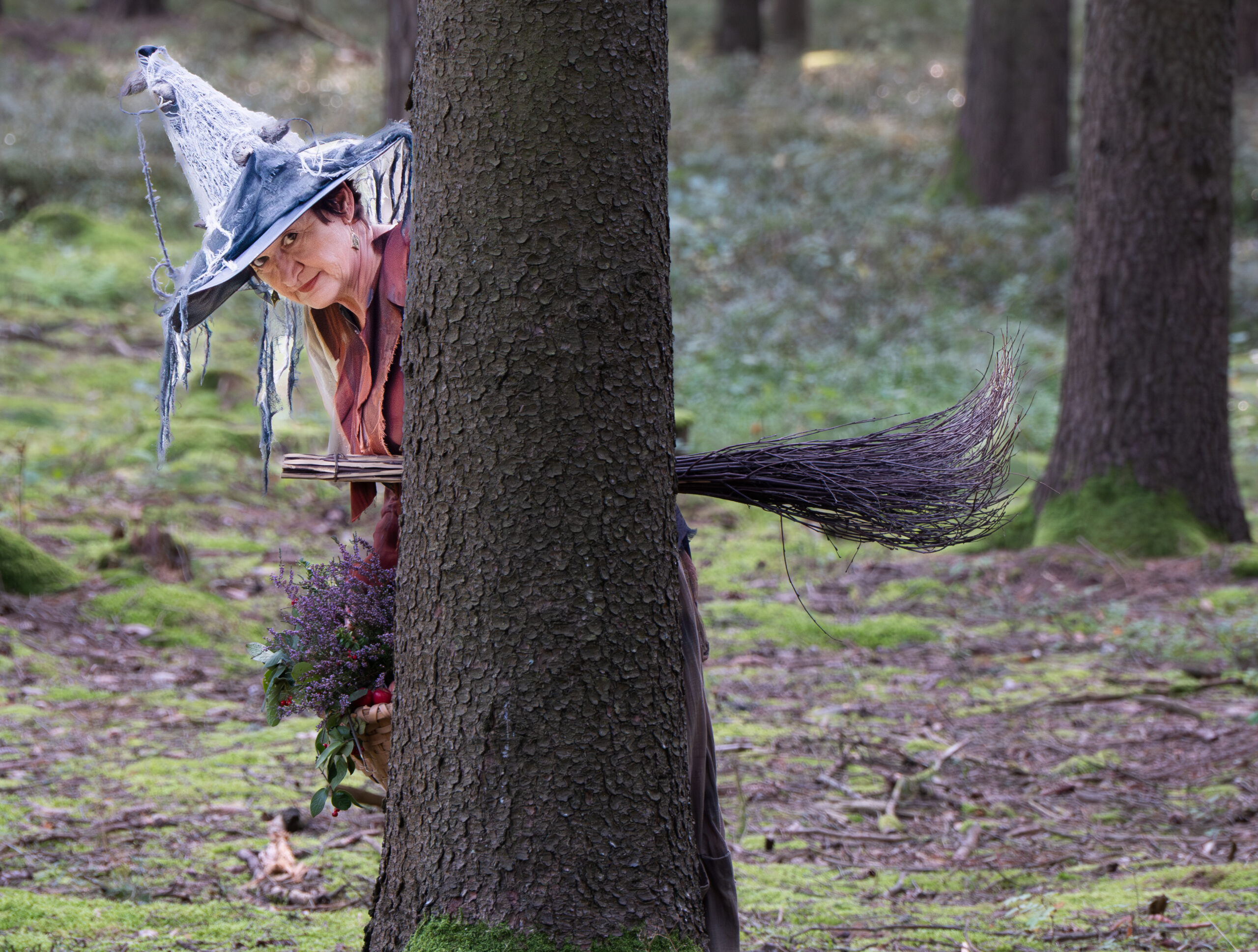 Moor-Express <br> 19. August <br> 10:30 Uhr – Bild 9