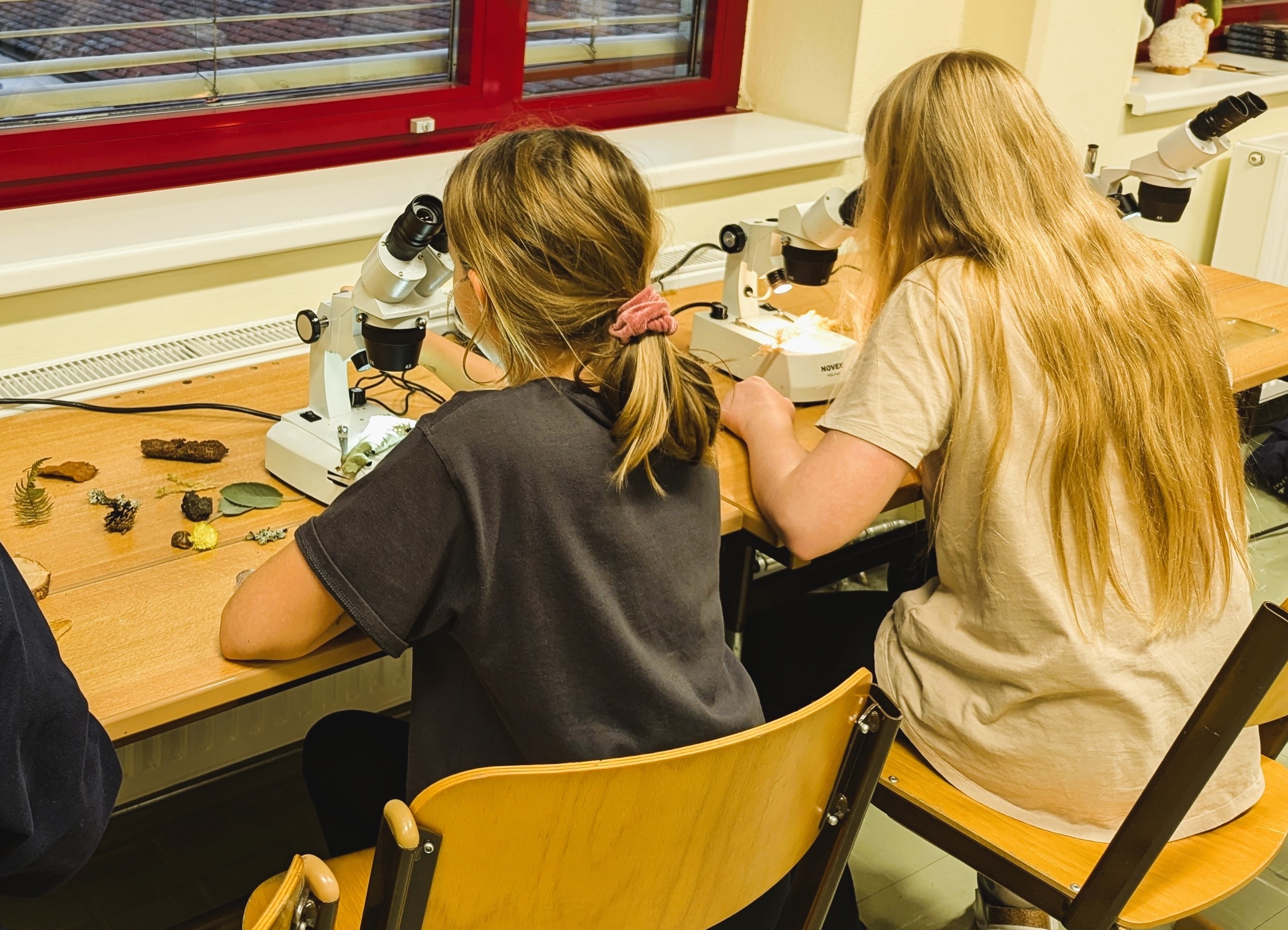 Moor-Express <br> 19. August <br> 10:30 Uhr – Bild 7