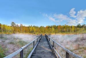 Moor-Express <br> 19. August <br> 10:30 Uhr